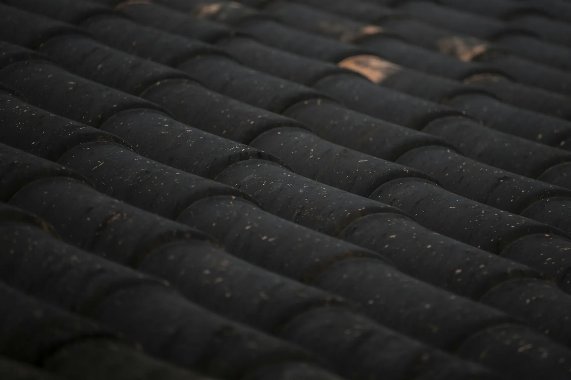 Dark textured roof covering with a scatter of leaves